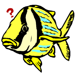 Who Has the FIsh.png (30 KB)